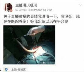 黄鳝门女主播资料,揭秘网络直播界的风云人物