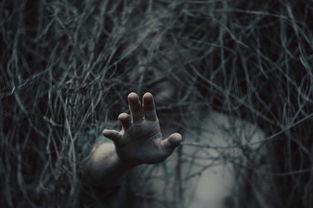 超现实照片,超现实摄影作品背后的奇幻世界